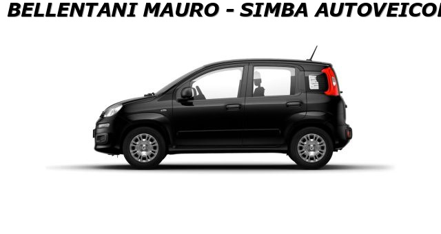 Fiat Panda 1.0 FireFly S&S Hybrid Icon GPL - foto 3 di 4