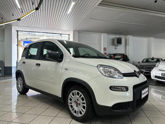 Fiat Panda PREZZO REALE 1.0 FireFly S&S Hybrid - Iva Esposta usato a MONZA