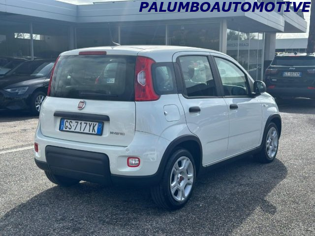 Fiat Panda 1.0 FireFly S&S Hybrid - foto 4 di 4