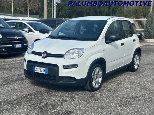 Fiat Panda 1.0 FireFly S&S Hybrid usato a PIGNATARO MAGGIORE