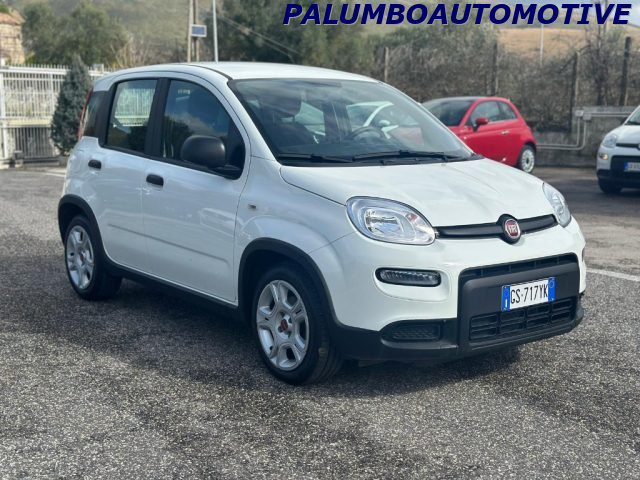 Fiat Panda 1.0 FireFly S&S Hybrid - foto 3 di 4
