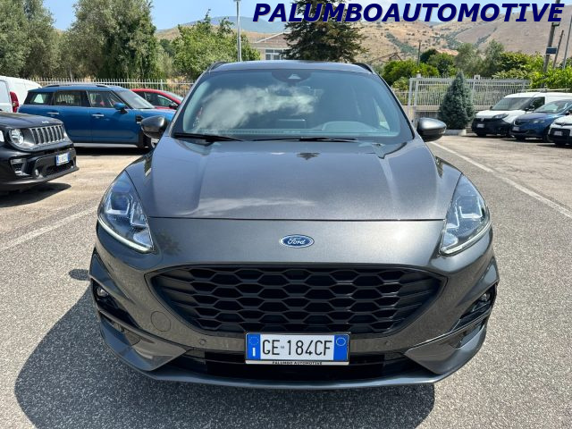 Ford Kuga 1.5 EcoBlue 120 CV 2WD ST-Line - foto 3 di 12