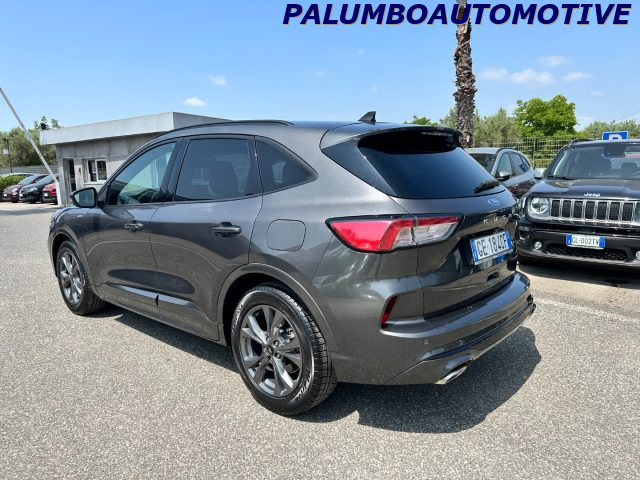 Ford Kuga 1.5 EcoBlue 120 CV 2WD ST-Line - foto 4 di 12