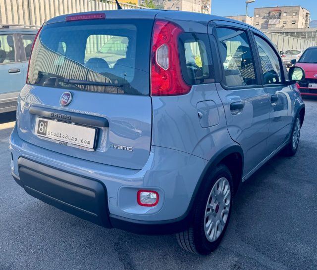 Fiat Panda 1.0 FireFly S&S Hybrid - foto 4 di 4