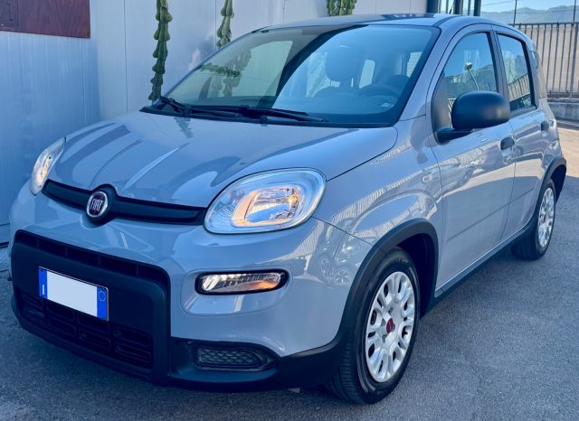Fiat Panda 1.0 FireFly S&S Hybrid usato a CASTELLAMMARE DI STABIA