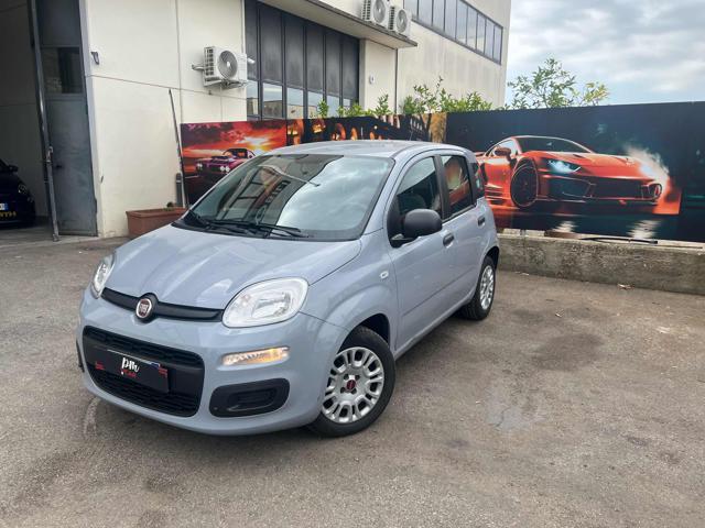 Fiat Panda 1.0 FireFly S&S Hybrid City Life usato a COLLEGNO