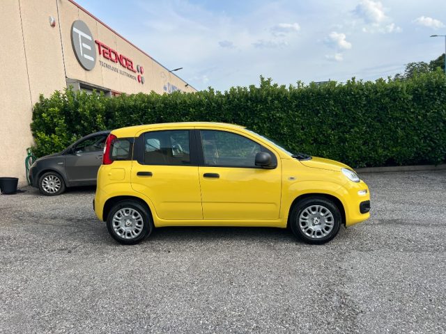 Fiat Panda 1.0 FireFly S&S Hybrid - foto 4 di 4