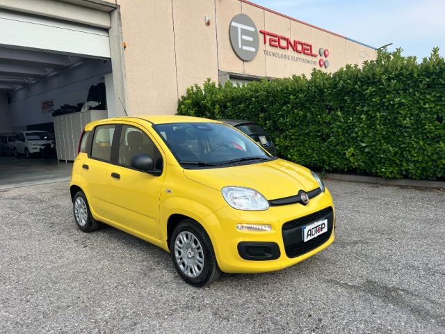 Fiat Panda 1.0 FireFly S&S Hybrid - foto 3 di 4