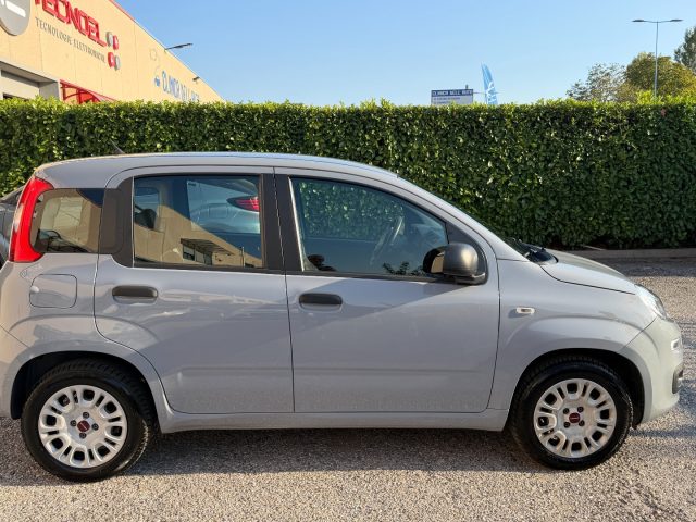 Fiat Panda 1.2 Easy - foto 4 di 4