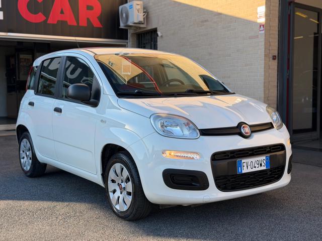 Fiat Panda 1.2 Easy (NESSUN VINCOLO), del 2019, 51.093 km, in vendita a Roma (RM)