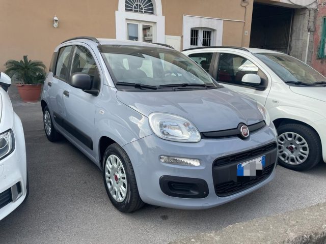 Fiat Panda 1.0 FireFly S&S Hybrid usato a SAN GIUSEPPE VESUVIANO