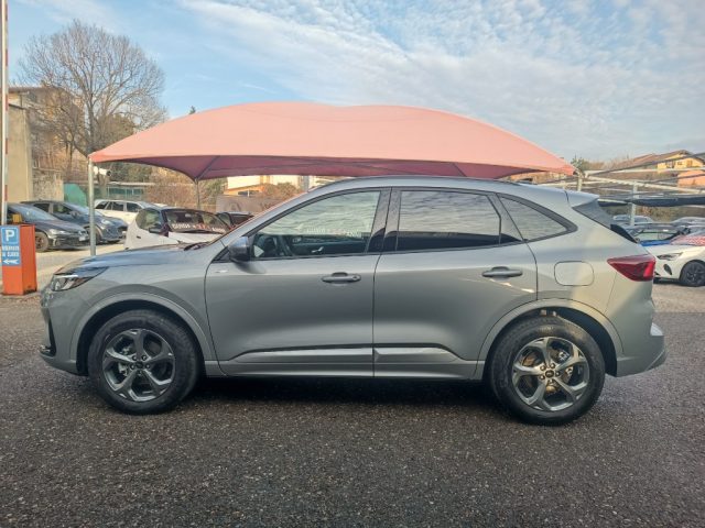 Ford Kuga 2.5 Full Hybrid 180 CV CVT 2WD ST-Line - foto 4 di 4