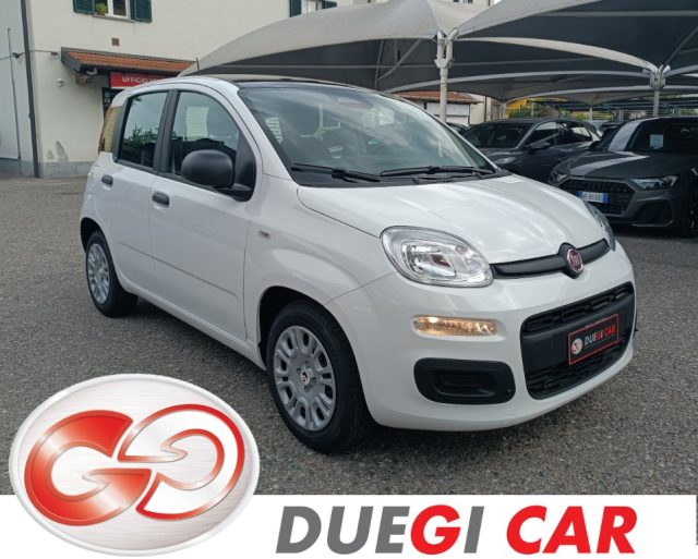 Fiat Panda 1.0 FireFly S&S Hybrid Icon nuovo a VARESE