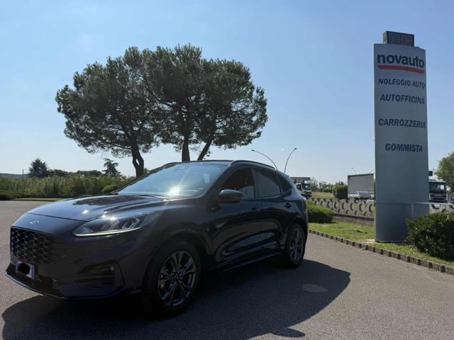 Ford Kuga 1.5 EcoBoost 150 CV 2WD ST-Line usato a CALCINATE