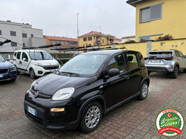 Fiat Panda 1.0 FireFly S&S Hybrid usato a ARCORE