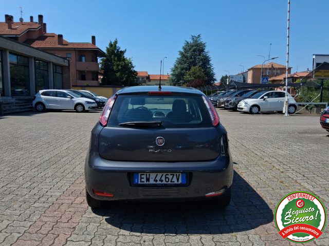Fiat Punto 1.2 8V 5 porte Young - foto 4 di 4