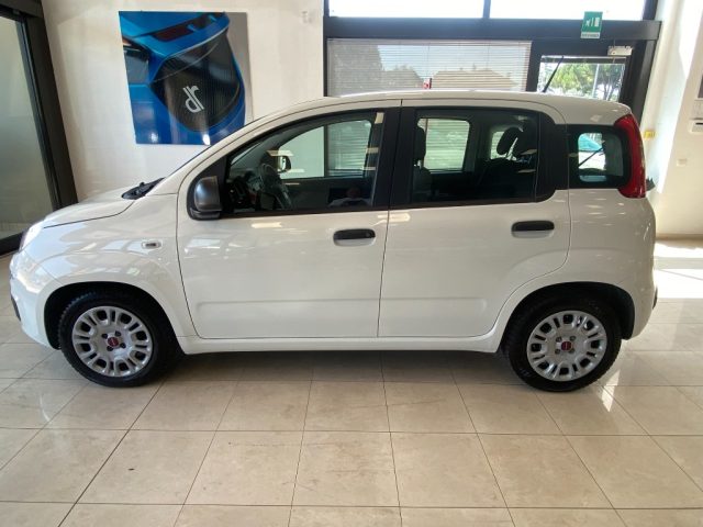 Fiat Panda 1.0 FireFly S&S Hybrid - foto 3 di 4