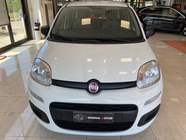 Fiat Panda 1.0 FireFly S&S Hybrid usato a PERUGIA