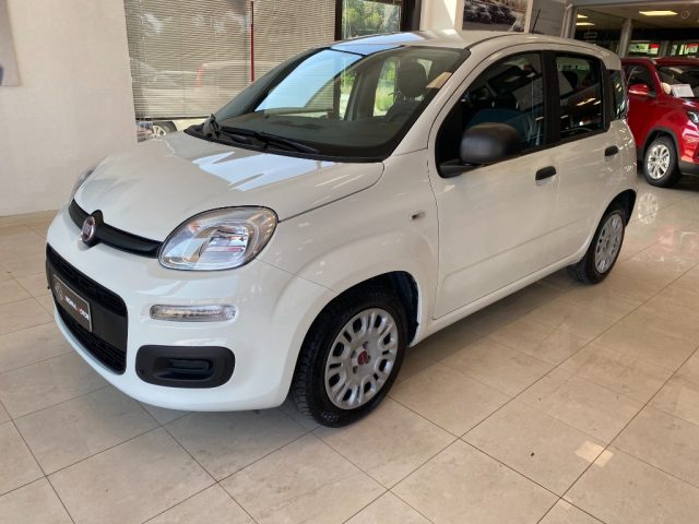 Fiat Panda 1.0 FireFly S&S Hybrid - foto 2 di 4