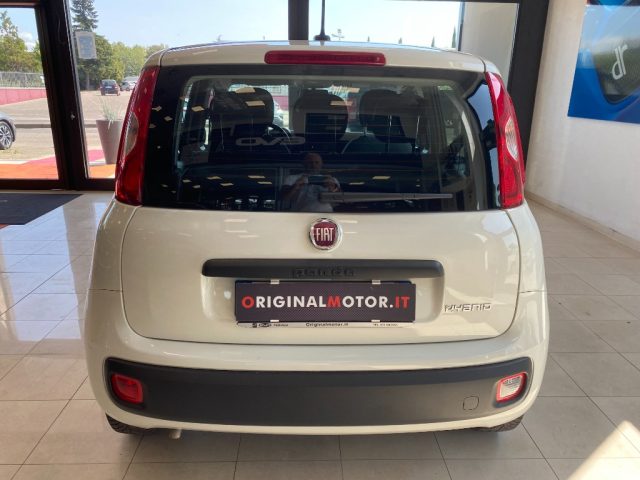 Fiat Panda 1.0 FireFly S&S Hybrid - foto 4 di 4