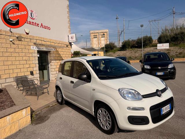 Fiat Panda 1.0 FireFly S&S Hybrid Pop usato a CIVITAVECCHIA