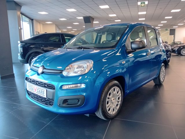 Fiat Panda 1.0 FireFly S&S Hybrid Pandina usato a MIRANO