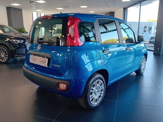 Fiat Panda 1.0 FireFly S&S Hybrid Pandina - foto 4 di 4