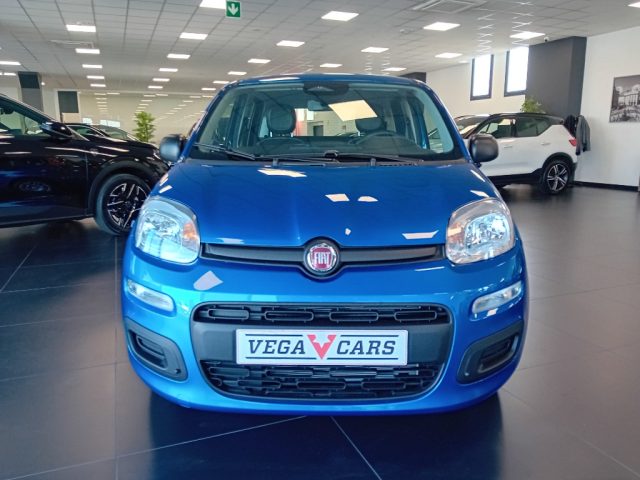Fiat Panda 1.0 FireFly S&S Hybrid Pandina - foto 2 di 4
