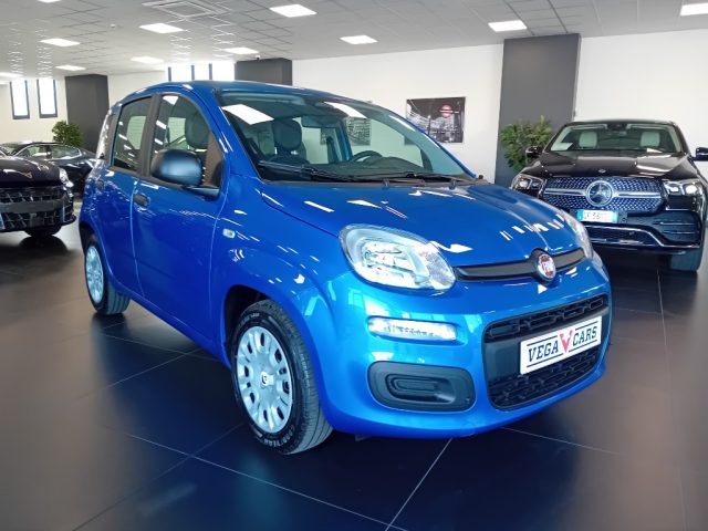 Fiat Panda 1.0 FireFly S&S Hybrid Pandina - foto 3 di 4