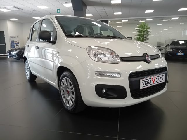 Fiat Panda 1.0 FireFly S&S Hybrid - foto 3 di 4