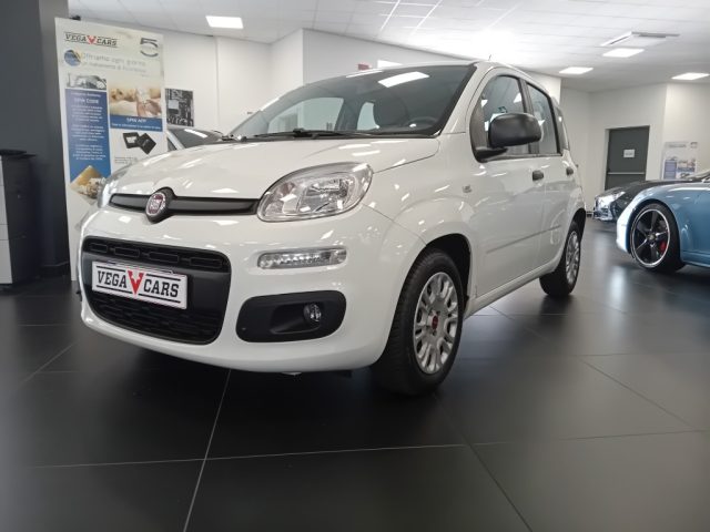 Fiat Panda 1.0 FireFly S&S Hybrid usato a MIRANO
