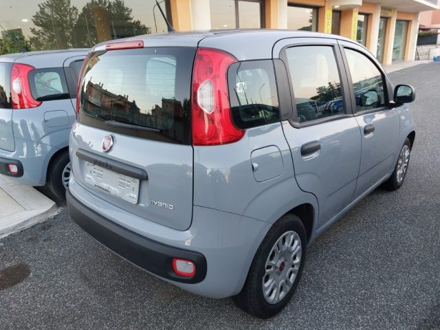 Fiat Panda 1.0 FireFly S&S Hybrid Unipr� Poss.legge 104 - foto 3 di 4