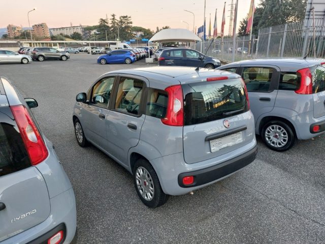 Fiat Panda 1.0 FireFly S&S Hybrid Unipr� Poss.legge 104 - foto 4 di 4