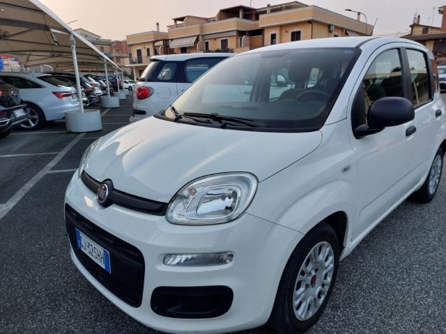 Fiat Panda 1.0 FireFly S&S Hybrid 5 posti Sedile reg altezza usato a TIVOLI