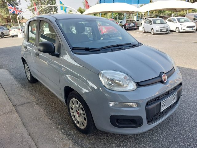 Fiat Panda 1.0 FireFly S&S Hybrid Aziendale Possib .legge 104 usato a TIVOLI
