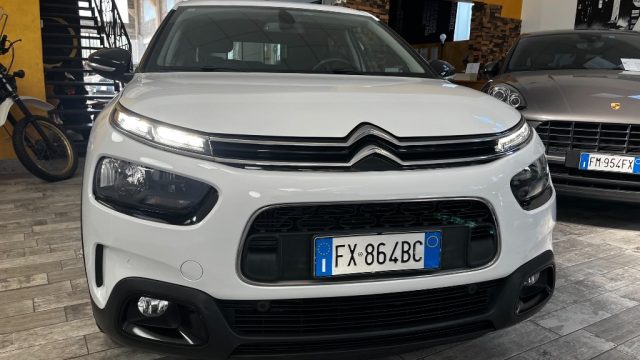 Citroen C4 Cactus BlueHDi 120 S&S EAT6 Shine - foto 2 di 4