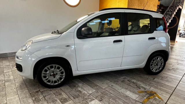Fiat Panda 1.3 MJT S&S Pop - foto 3 di 4