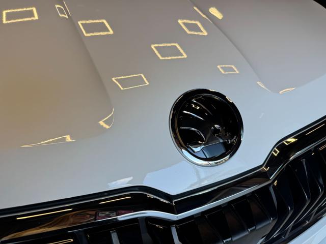 Skoda Karoq 2.0 TDI SCR 4x4 DSG Selection usato a TORINO