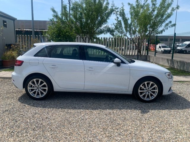 Audi A3 SPB 1.6 TDI 116 CV S tronic Business - foto 4 di 4