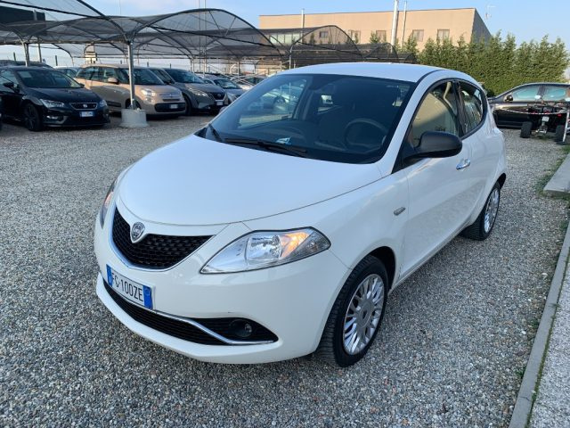 Lancia Ypsilon 1.2 69 CV 5 porte Platinum usato a ZINASCO