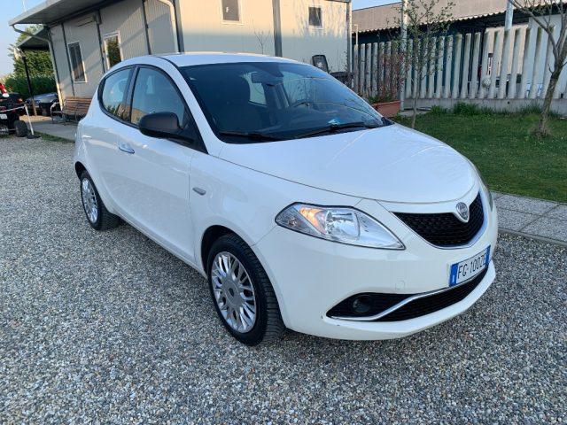 Lancia Ypsilon 1.2 69 CV 5 porte Platinum - foto 3 di 4