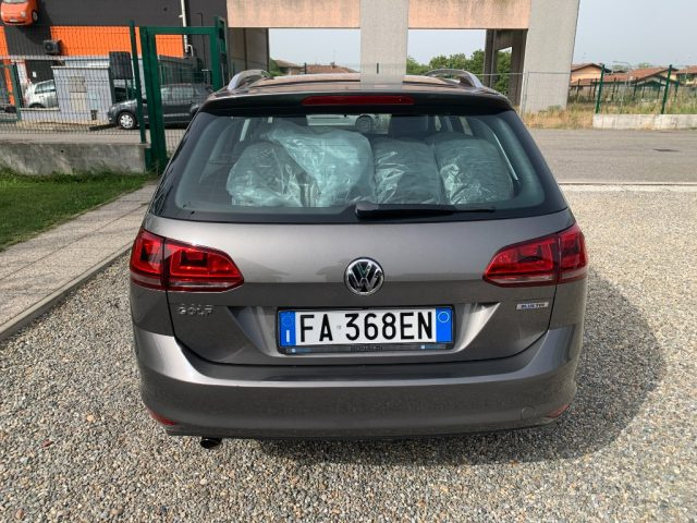 Volkswagen Golf Variant 1.6 TDI 110 CV Highline BlueMotion Tech. - foto 4 di 4