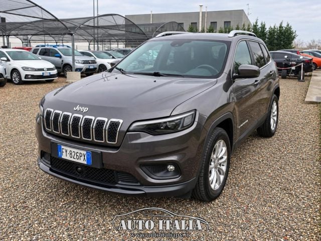 Jeep Cherokee 2.2 Mjt AWD Active Drive I Longitude, del 2019, 179.000 km, in vendita a Zinasco (PV)