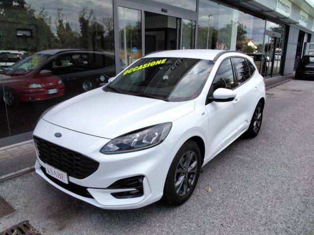 Ford Kuga 1.5 EcoBlue 120 CV 2WD ST-Line - foto 2 di 4