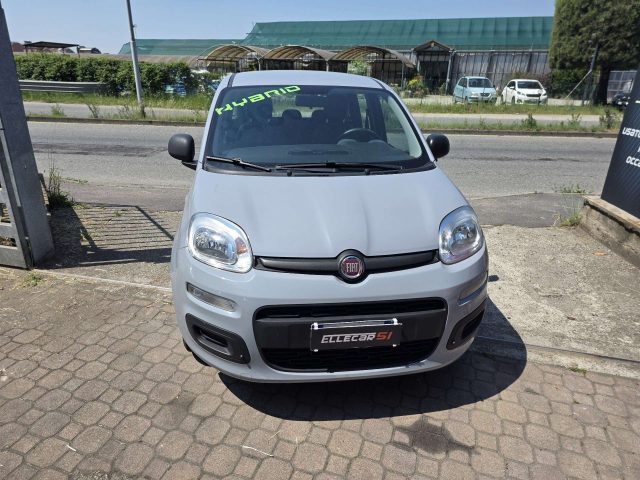 Fiat New Panda Ybrid usato a BOLLATE