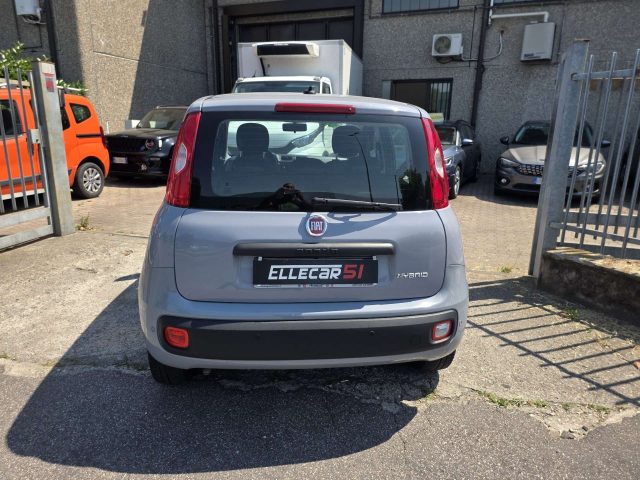 Fiat New Panda Ybrid - foto 4 di 4