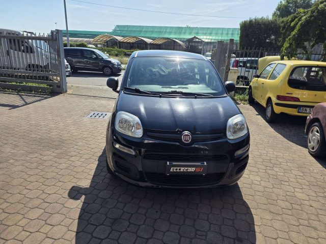Fiat New Panda usato a BOLLATE
