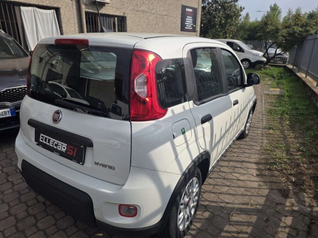 Fiat Panda 1.0 firefly hybrid s&s 70cv - foto 4 di 4