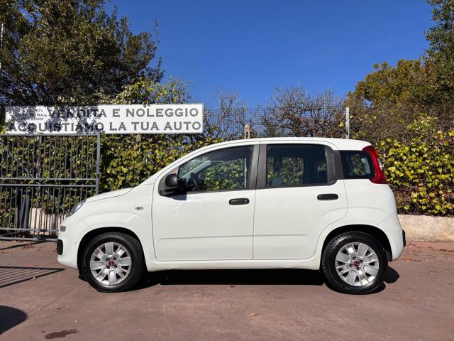 Fiat Panda 1.2 Easy NEOPATENTATI - foto 4 di 4