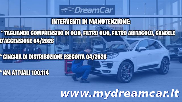 Peugeot 208 1.2 Benzina 82cv 5 porte Allure usato a SAN DON� DI PIAVE